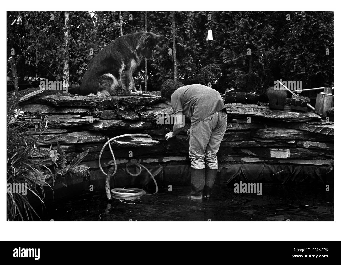 Ein Auge auf die Vorbereitungen Juni 2000On einer von Die vielen Stände stehen für die Hampton Court Flower Show Stockfoto