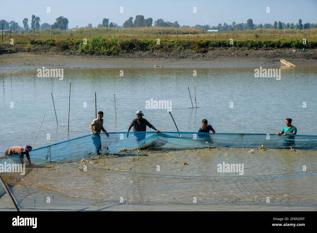 Moirang, Indien - Dezember 2020: Eine Gruppe von Männern, die am 29. Dezember 2020 in Manipur, Indien, am Lake Loktak in Moirang fischen. Stockfoto