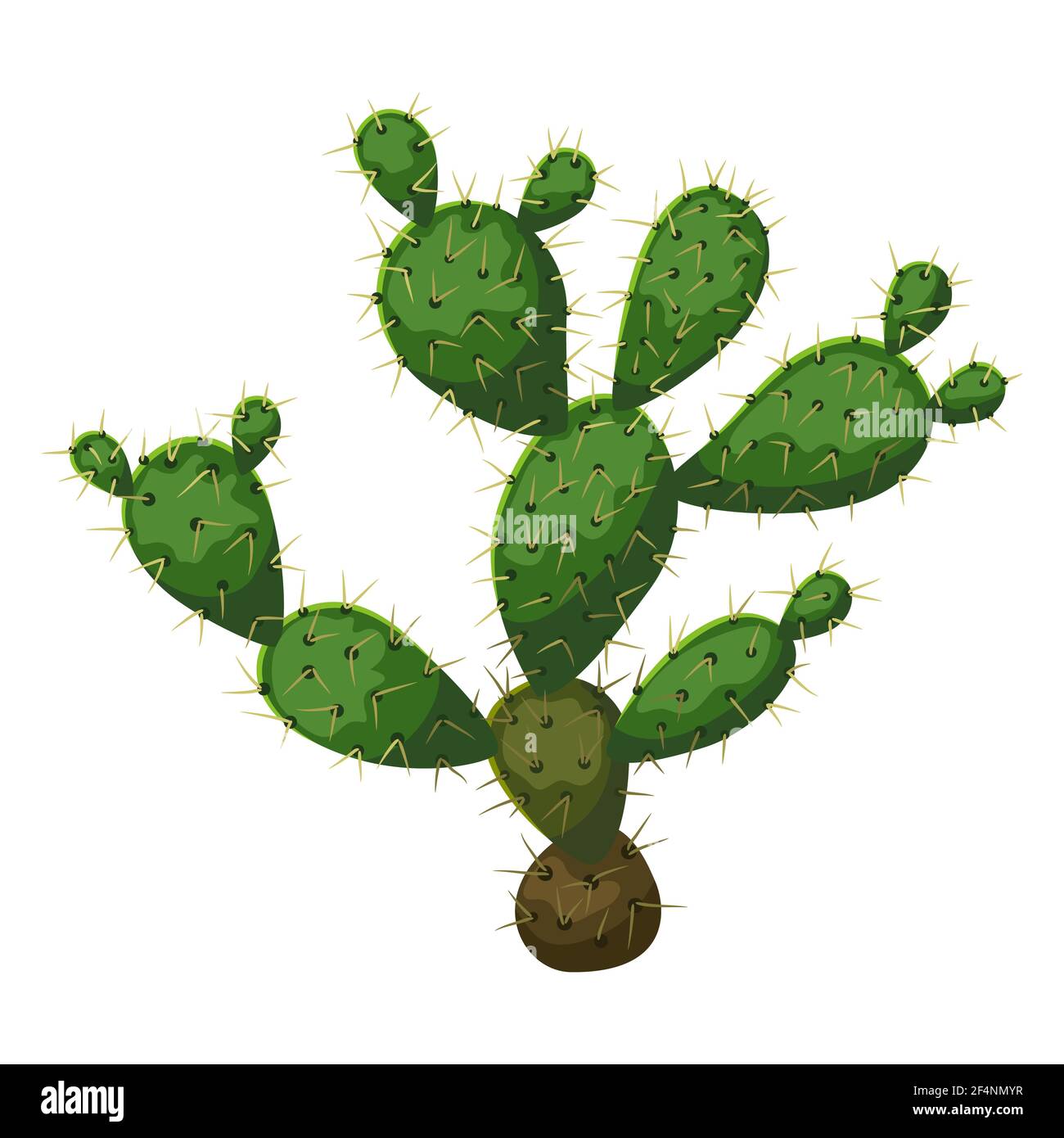 Abbildung des Kaktus. Dekorative stachelige mexikanische Kakteen. Stock Vektor