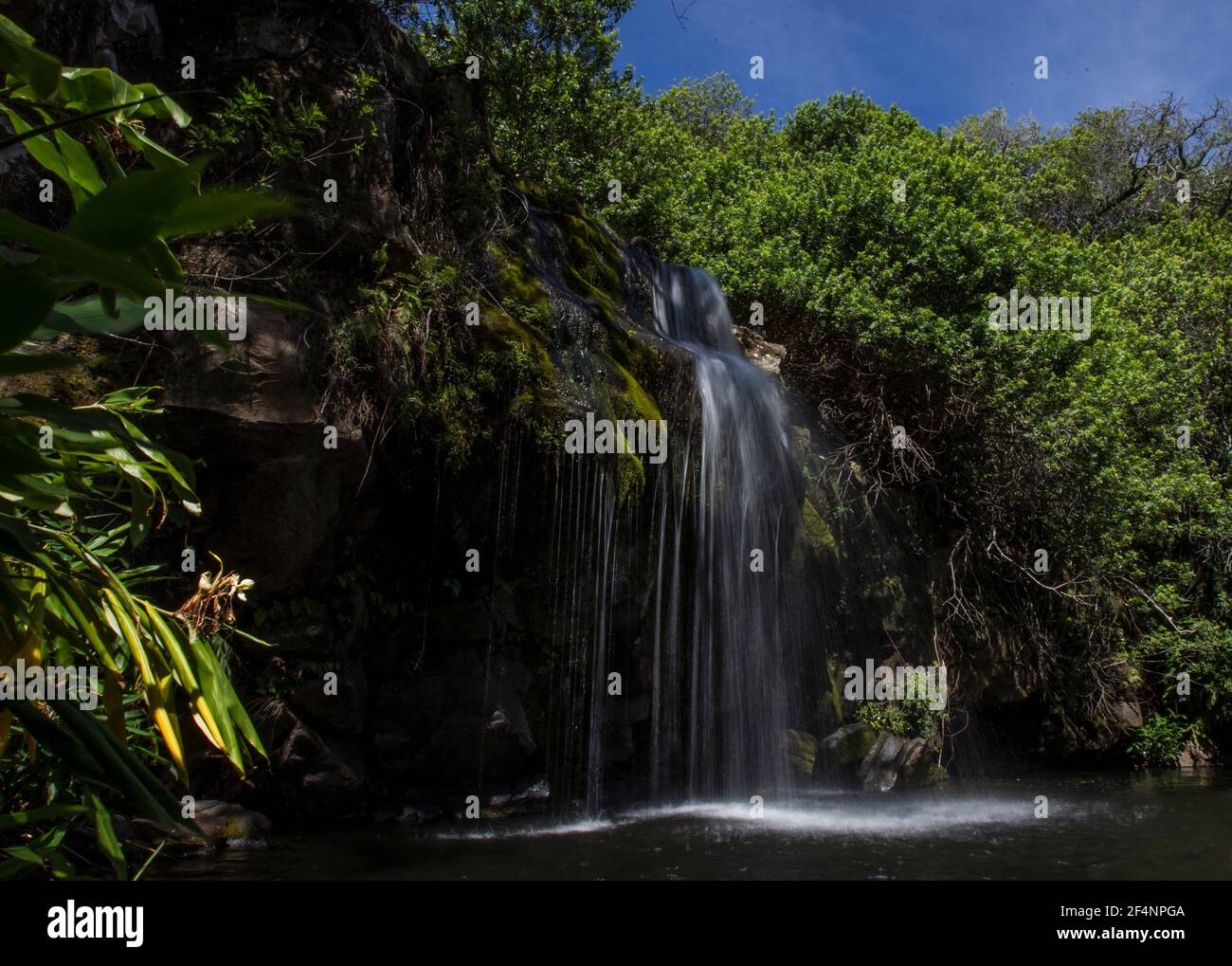 BIG ISLAND HAWAII 17-06-2014. Ein Wasserfall ist auf der großen Islan von Hawaii zu sehen. Foto: José Bula U. Stockfoto