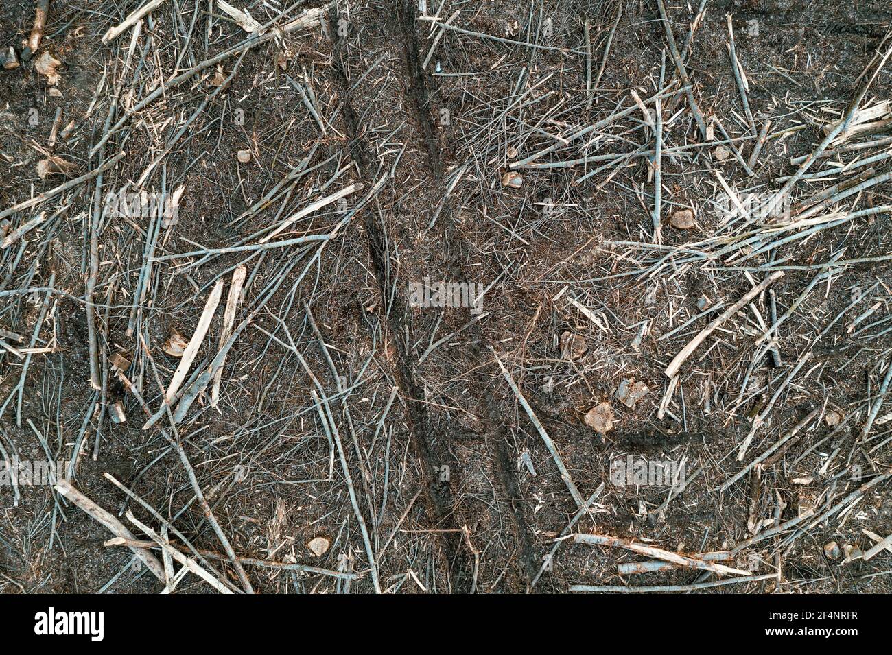 Luftaufnahme der Entwaldung Landschaft, Baumstämme und Baumstümpfe auf dem Boden von Drohne pov, Umweltschäden Hintergrund Stockfoto