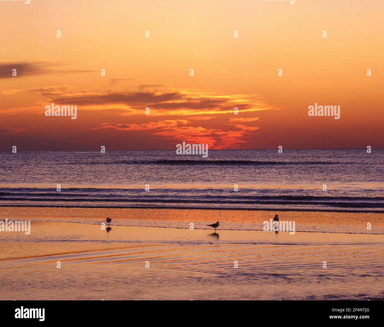 Sonnenuntergang über dem Meer, Fort Lauderdale Beach, Fort Lauderdale, Florida, Vereinigte Staaten von Amerika Stockfoto