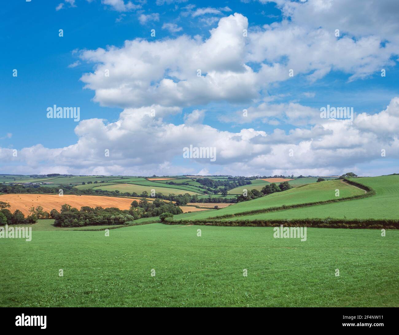 Rollende Countyside in der Nähe von Polperro, Cornwall, England, Vereinigtes Königreich Stockfoto