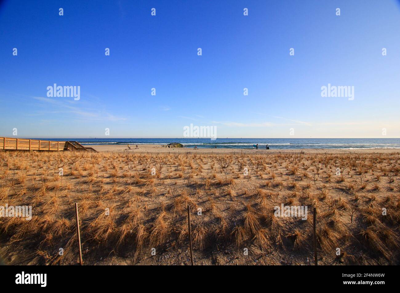 Strand mit Sägegras Stockfoto