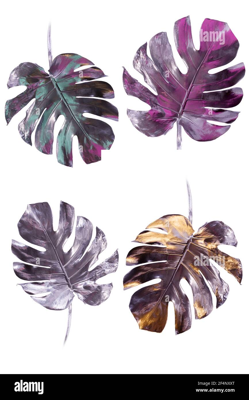 Monstera Bltter in Silber mit rosa und blauen Fackeln auf wei isoliert  gemalt. Minimalistisches Luxuskonzept. Gut fr Innendekoration Pop-Art  Poster Stockfotografie - Alamy