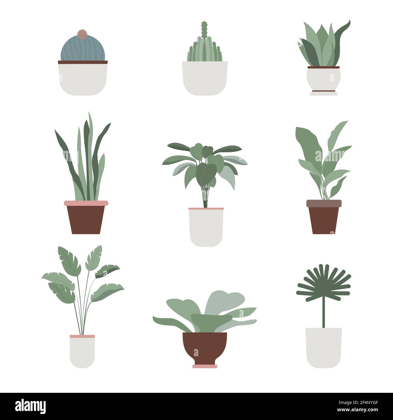 Startseite Pflanzen und Blumen Vektor-Icons in flachem Design tropische Pflanzen, Kakteen und Sukkulenten in verschiedenen Töpfen isoliert auf weißem Hintergrund Stock Vektor