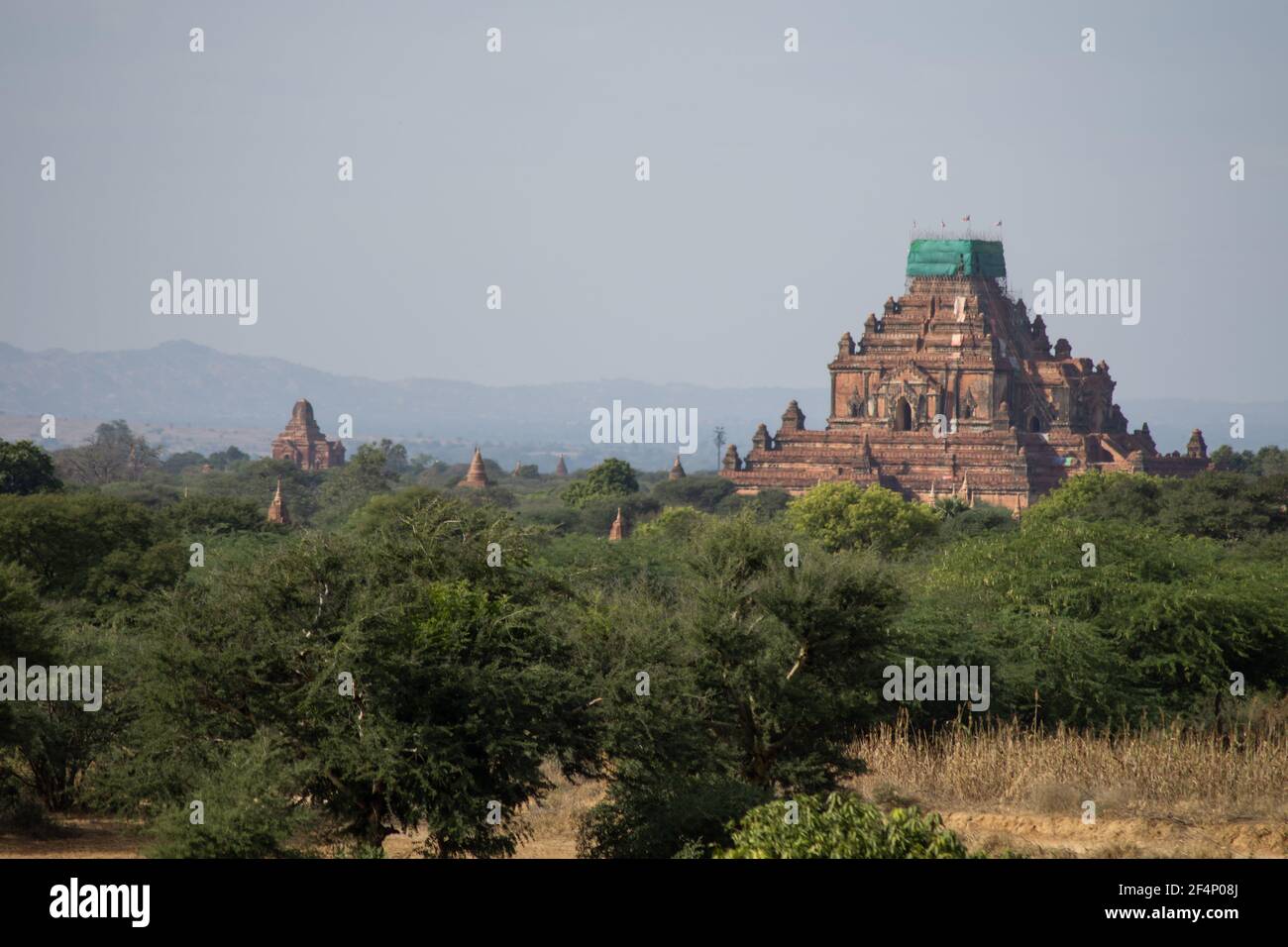 BAGAN, NYAUNG-U, MYANMAR - 3. JANUAR 2020: Eine riesige alte und historische Tempelpagode mit einem Turm, der gerade über der Baumvegetation gebaut wird Stockfoto
