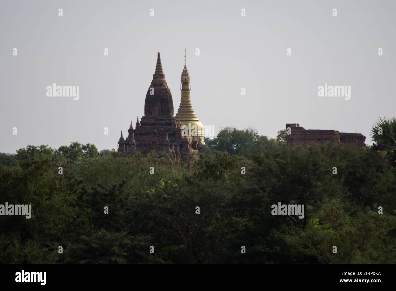 BAGAN, NYAUNG-U, MYANMAR - 3. JANUAR 2020: Die Spitze der alten und historischen Tempel, die in der Ferne über der Baumvegetation ihren Höhepunkt erreichen Stockfoto