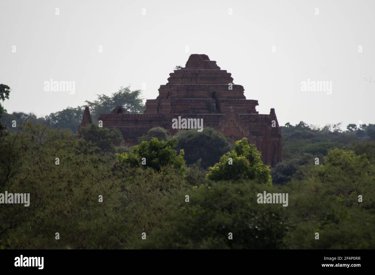 BAGAN, NYAUNG-U, MYANMAR - 3. JANUAR 2020: Die Spitze eines alten und historischen Tempels, der in der Ferne über der Baumvegetation aufragt Stockfoto