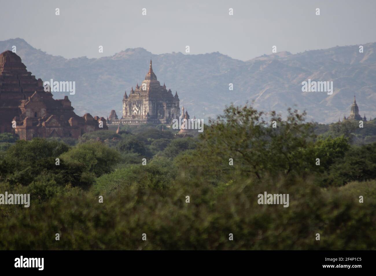 BAGAN, NYAUNG-U, MYANMAR - 3. JANUAR 2020: Die Spitze der alten und historischen Tempel, die in der Ferne über der Baumvegetation ihren Höhepunkt erreichen Stockfoto