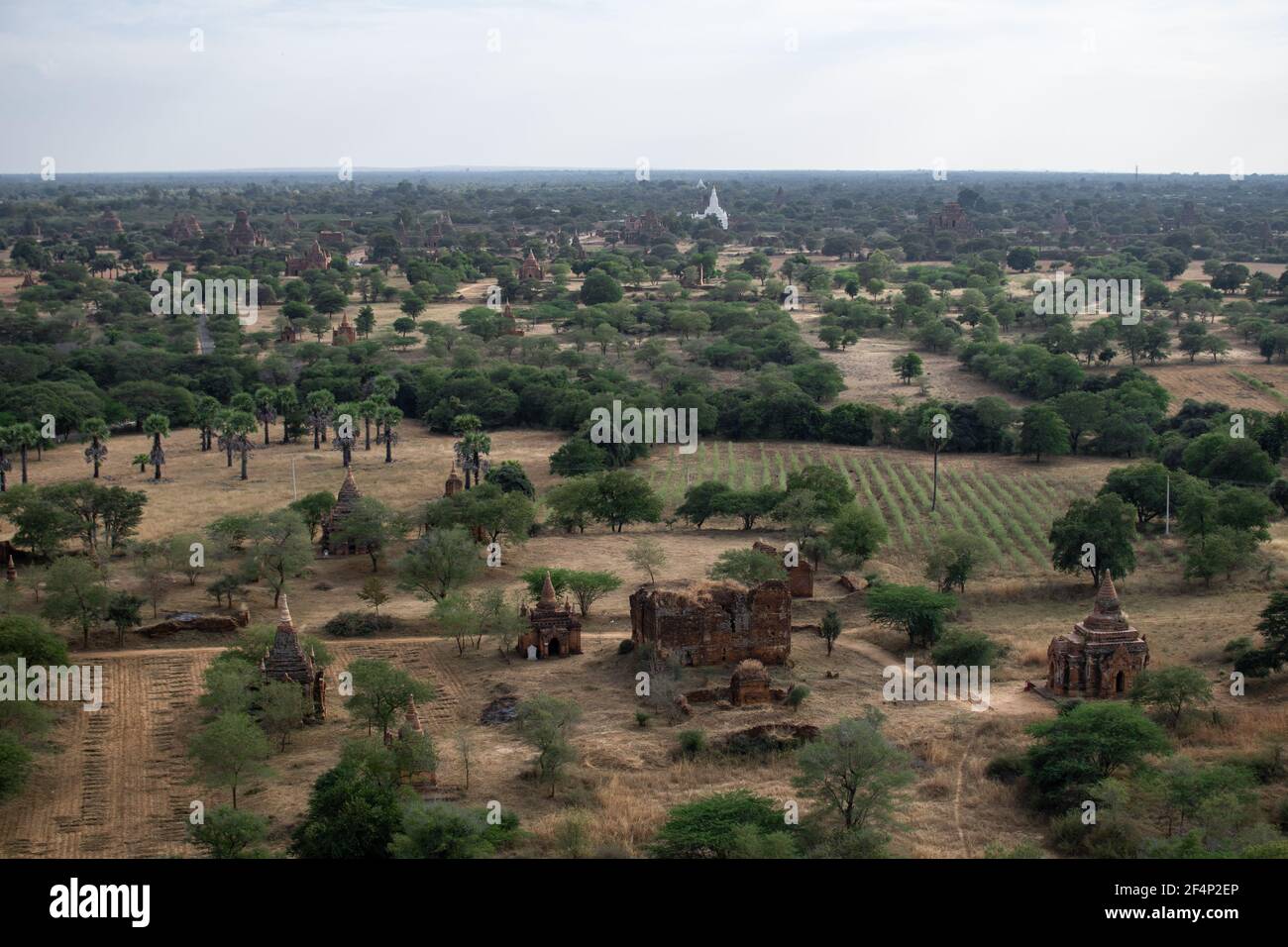 BAGAN, NYAUNG-U, MYANMAR - 3. JANUAR 2020: Blick über die weiten Ebenen von Bagan mit seinen historischen Tempeln und Feldern vom hohen Nan Myint vi Stockfoto