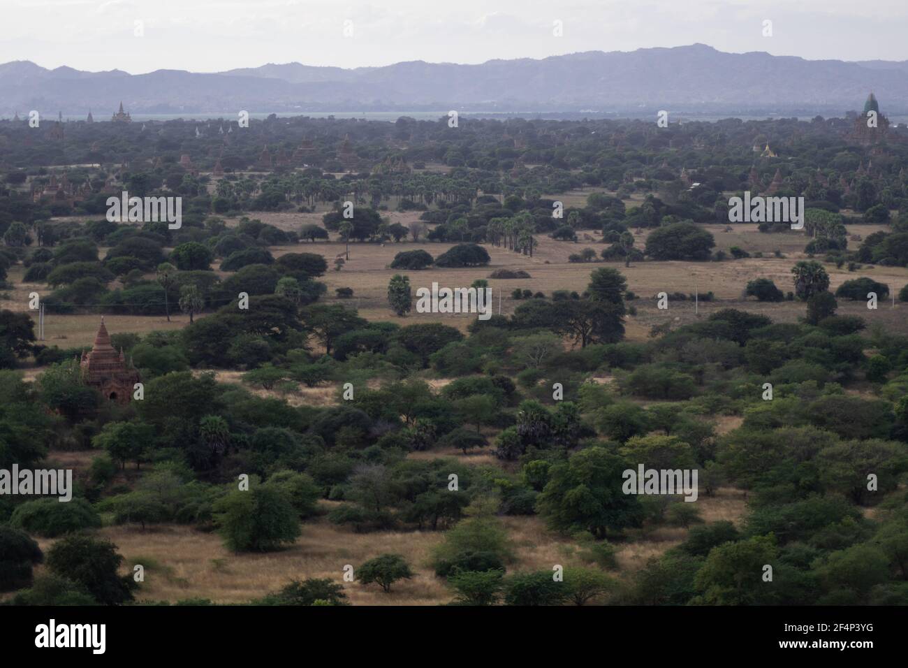 BAGAN, NYAUNG-U, MYANMAR - 3. JANUAR 2020: Blick über die weiten Ebenen von Bagan mit seinen historischen Tempeln und Feldern vom hohen Nan Myint vi Stockfoto