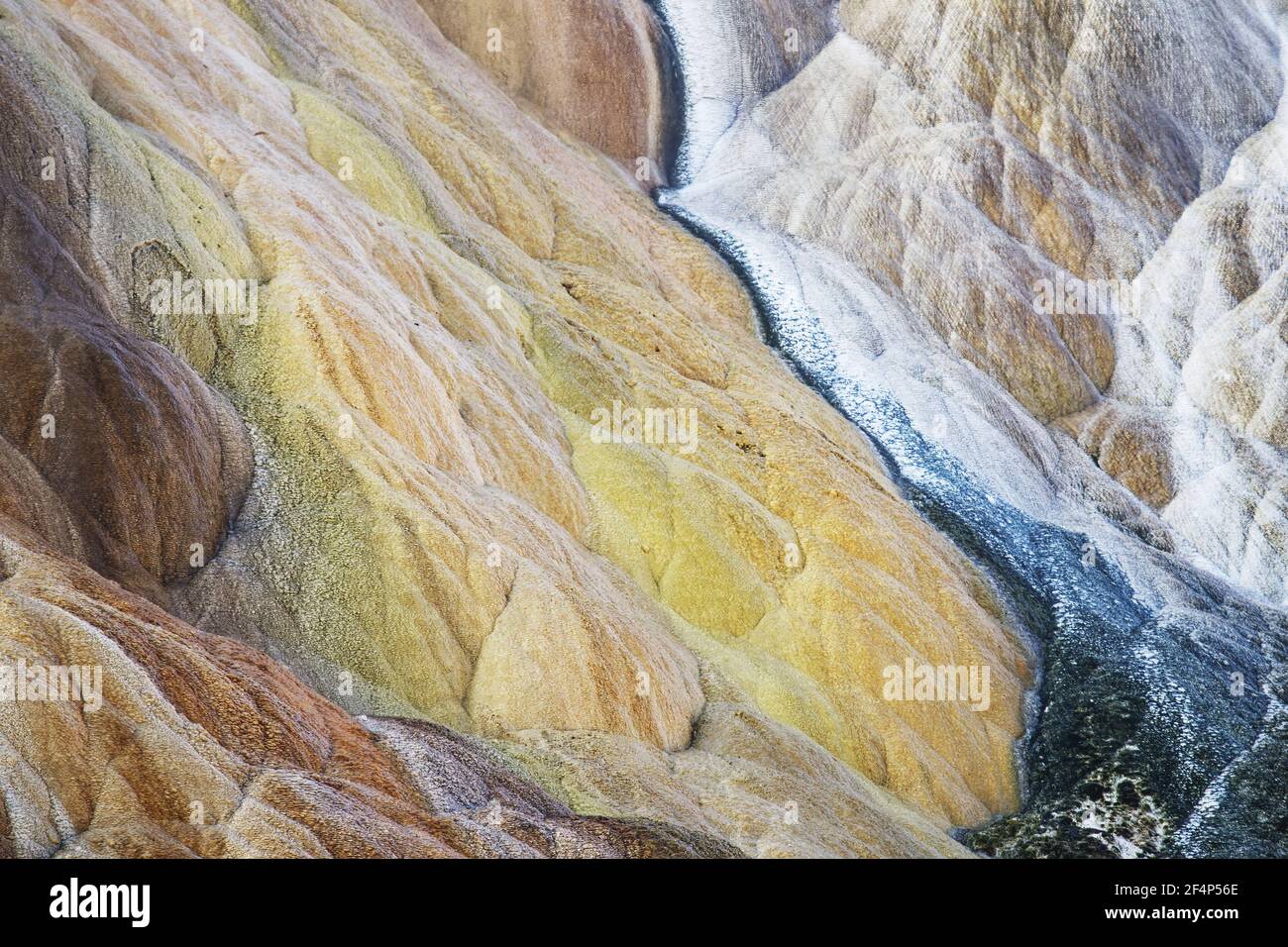 Palette Spring - Formen und Farben von Mineralen gebildet Mammoth Springs Yellowstone National Park Wyoming. USA LA007011 Stockfoto