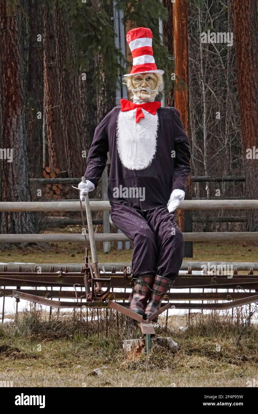 Eine selbstgewachsene Version von Dr. Seuss's Cat in the hat Charakter, errichtet auf einem Feld in der Nähe von Sisters, Oregon. Stockfoto