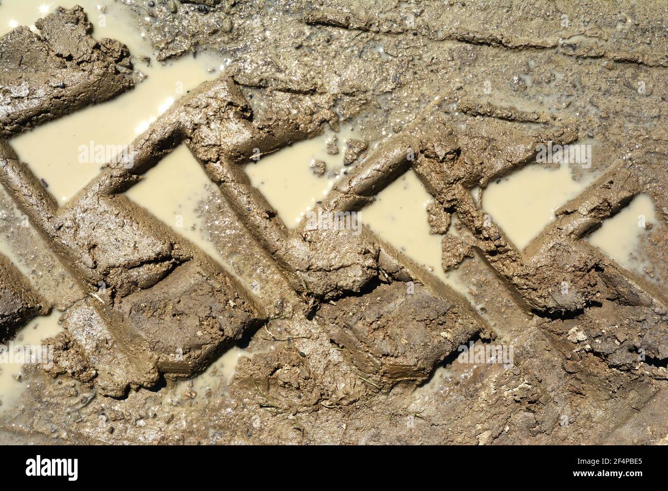 Schmutzige Schlammstruktur oder nasser grauer Boden als natürlicher Hintergrund. Stockfoto