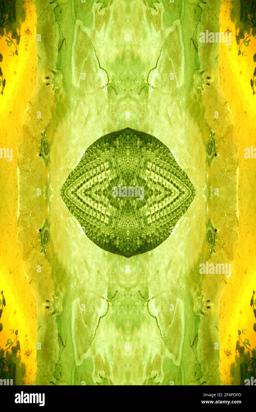 Neon Lichter Abstrakte Kunst Design Cover Buch Calandar Cd Goamusic Tapete Textur Mystischen Hintergrund Science Fiction Abstrakte Kunstwerk Schlange Muster Stockfotografie Alamy
