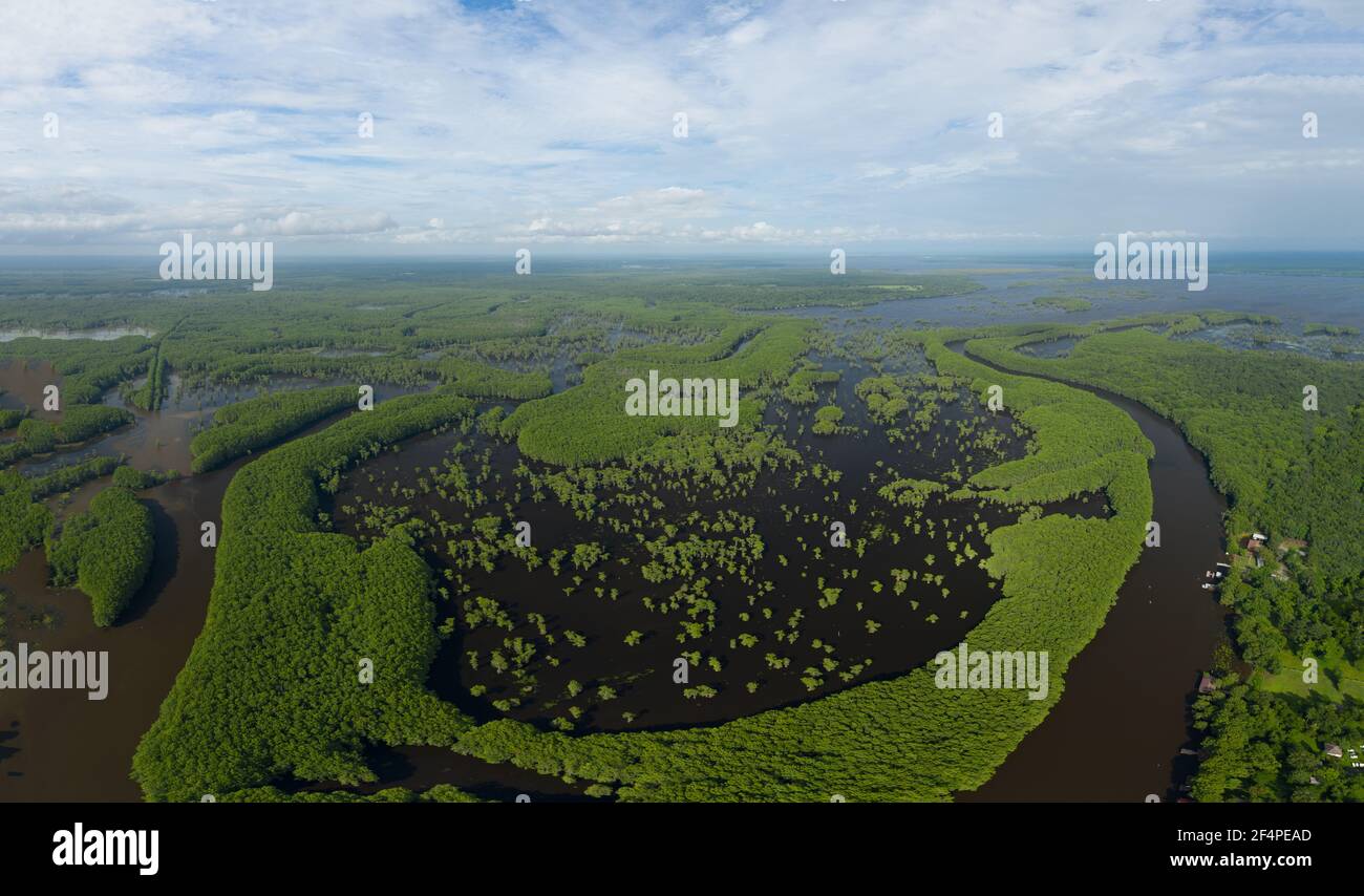 Zypressen spiegeln sich in Caddo Lake, Texas Stockfoto