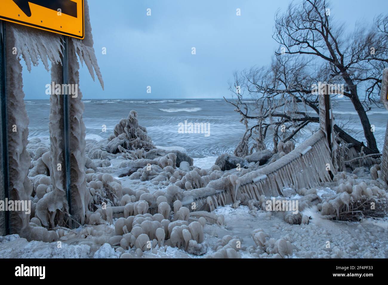 Bäume in Eis eingehüllt in Lake Erie Winter Storm Stockfoto