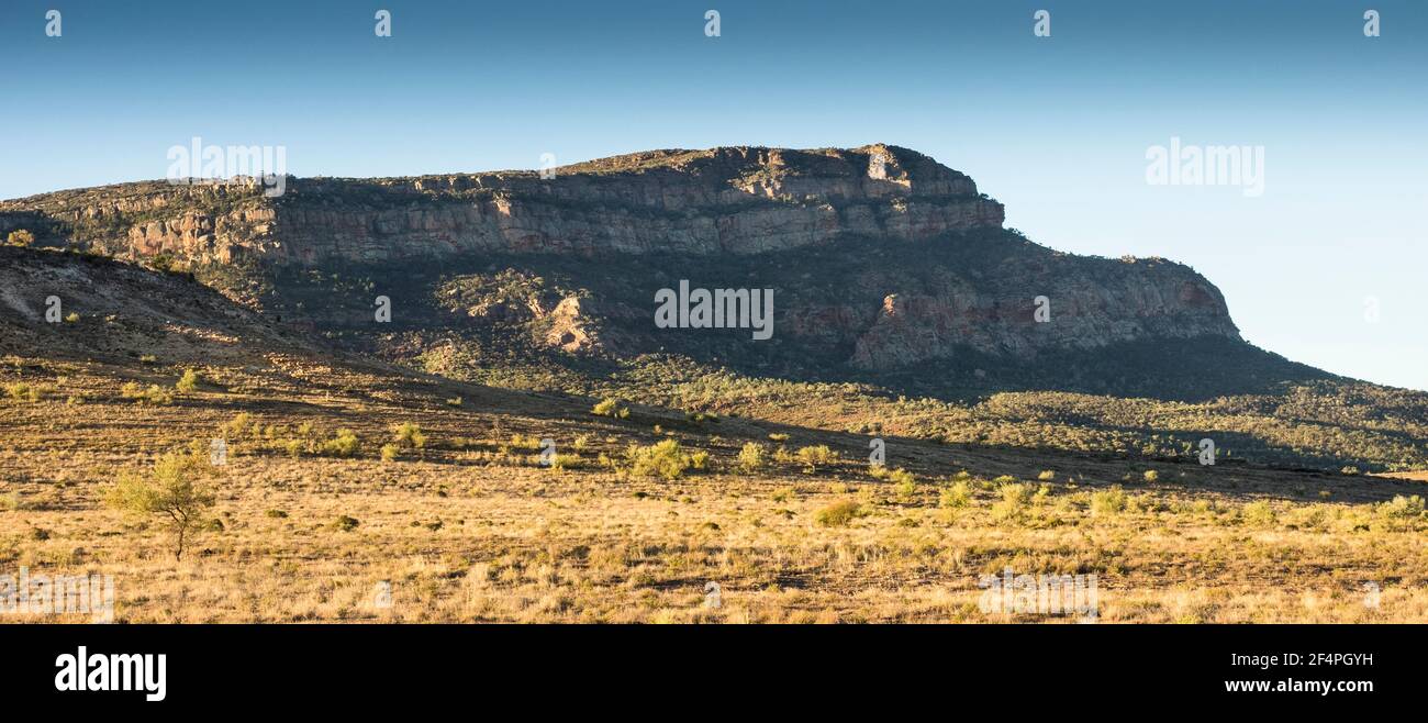 Rawnsley Bluff (960m), Flinders Ranges, South Australia. Stockfoto