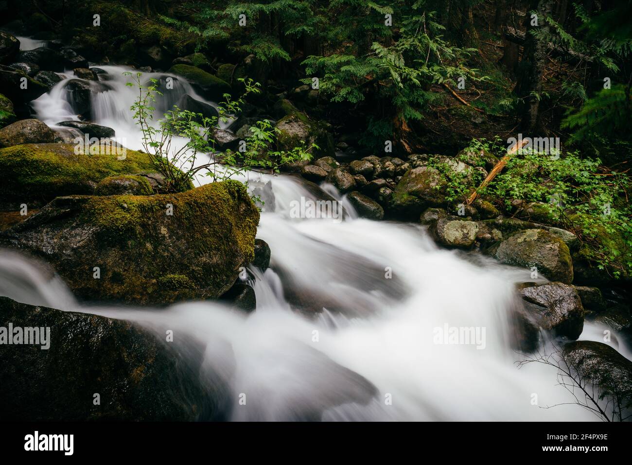 Talapus Creek Landscape - Central Cascades, Washington. Stockfoto