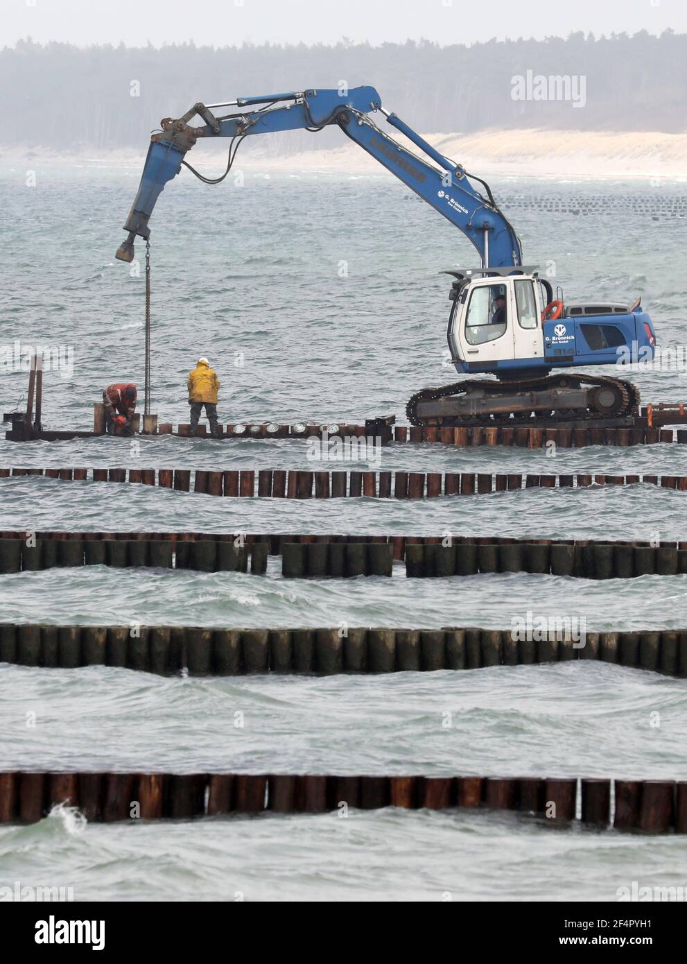 Ahrenshoop, Deutschland. März 2021, 22nd. Im Ostseebad auf der Halbinsel Fischland-Darß-Zingst, die von der Schiffsbohrung beschädigt wurden, werden mit Schwertechnologie Groynes wieder aufgebaut. Von November 2020 bis April 2021 werden insgesamt 4.600 Pfähle neu gefahren, der neue Groyne-Ersatz wird zwei Millionen Euro kosten. Am Strand wird Kiefernholz verwendet, während im Wasser Eukalyptus aus Plantagenanbau verwendet wird, der der Borer des Schiffes standhalten kann. Quelle: Bernd Wüstneck/dpa-Zentralbild/ZB/dpa/Alamy Live News Stockfoto