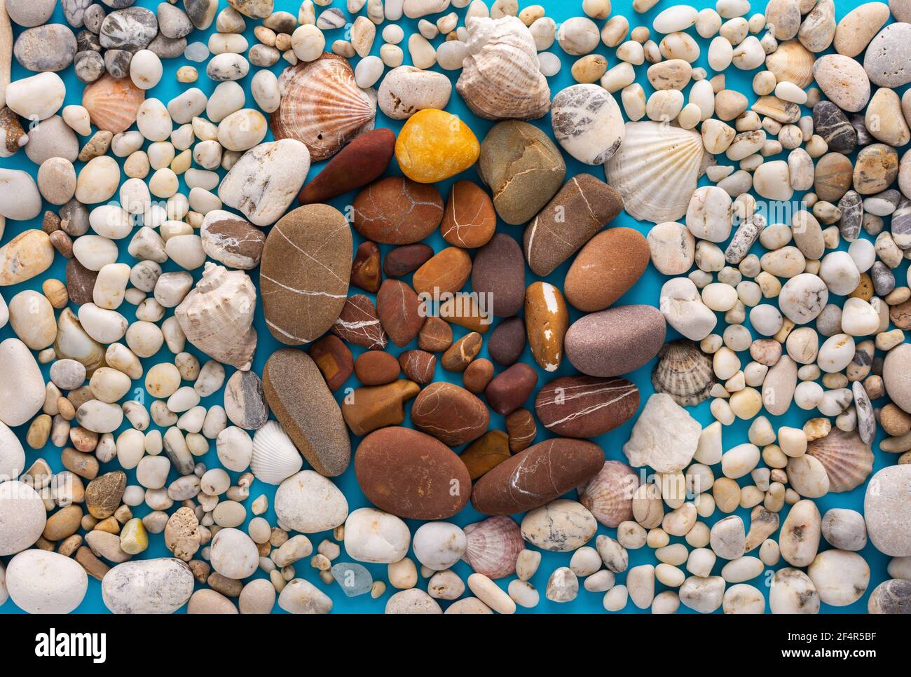 Seelicht Kieselsteine und Muscheln auf blauem Hintergrund, in der Mitte eines Kreises aus braunen Kieselsteinen, Urlaub am Meer oder Meer Stockfoto