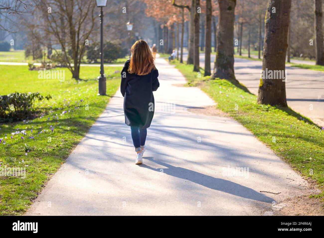 Casual Frau in Jeans und Mantel zu Fuß weg von der Kamera durch einen Park im Frühjahr einen Baum gesäumt Fußweg in strahlendem Sonnenschein Stockfoto