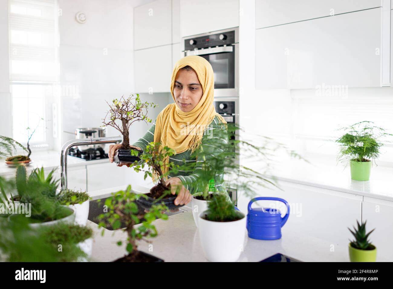 Muslimische Hausfrau zu Hause Bewässerung Pflanzen in der Küche Stockfoto