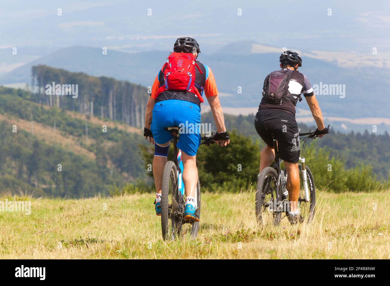 Zwei männliche Biker auf dem Mountainbike fahren die Wiese hinunter und haben einen aktiven gesunden Lebensstil Stockfoto