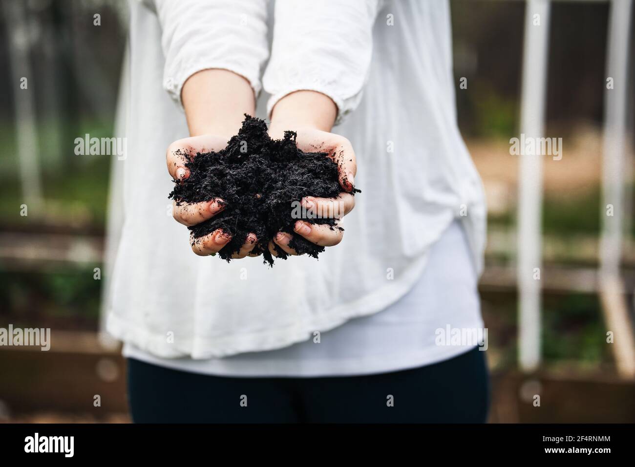 Die Hände der jungen Frau halten frischen Kompost mit verschwommenen Hochbetten in einem Garten. Stockfoto