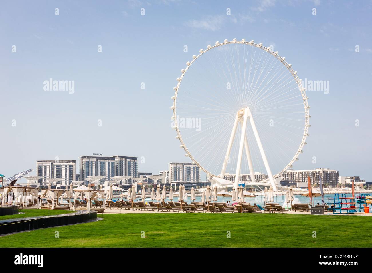 Dubai, VAE, 22,02.2021. Ain Dubai (Dubai Eye) größtes Riesenrad der Welt auf der Bluewaters Island mit JBR Beach Club im Vordergrund. Stockfoto