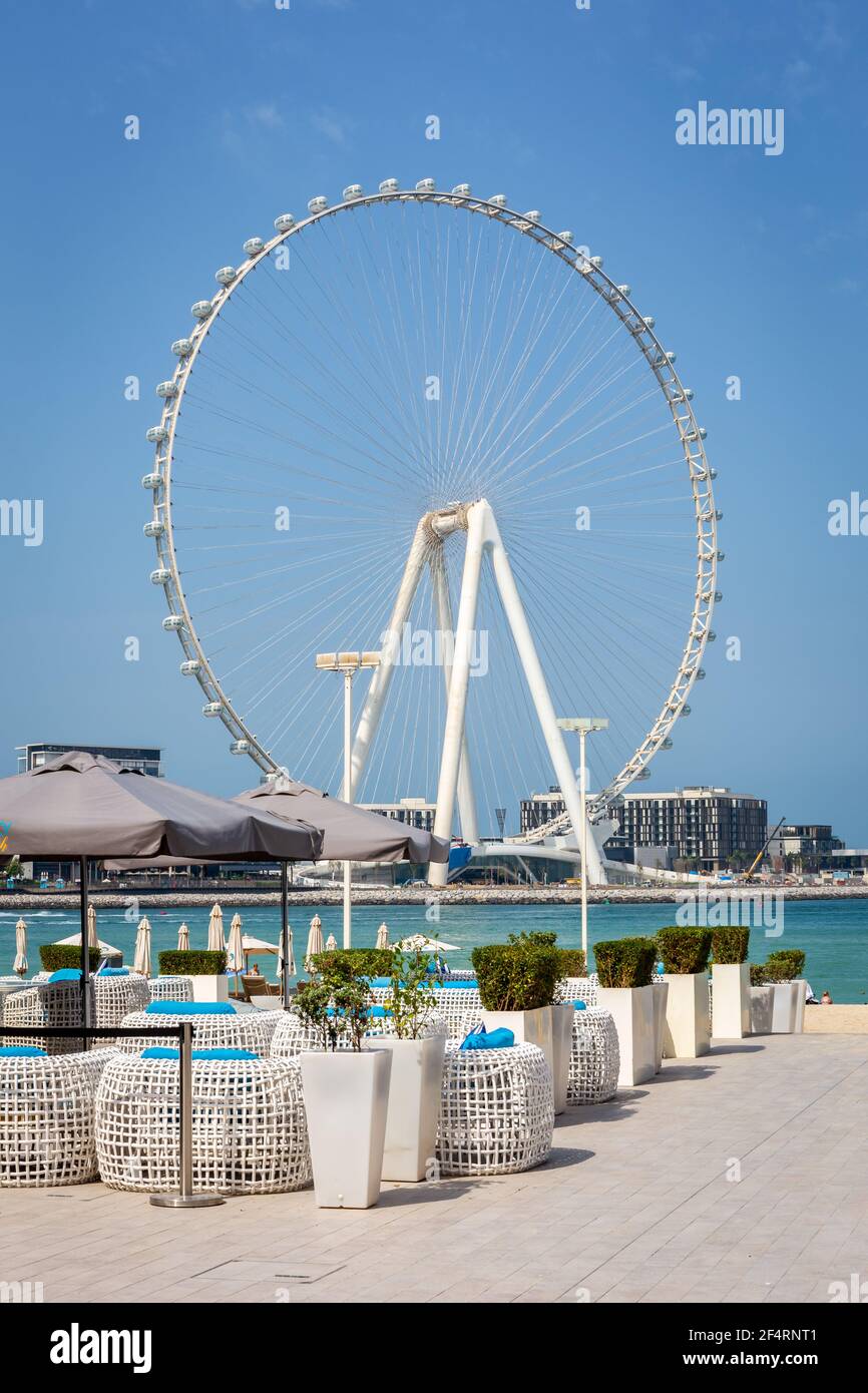 Dubai, VAE, 22,02.2021. Ain Dubai (Dubai Eye) größtes Riesenrad der Welt auf der Insel Bluewaters mit weißen Sofas im JBR-Strandrestaurant Stockfoto