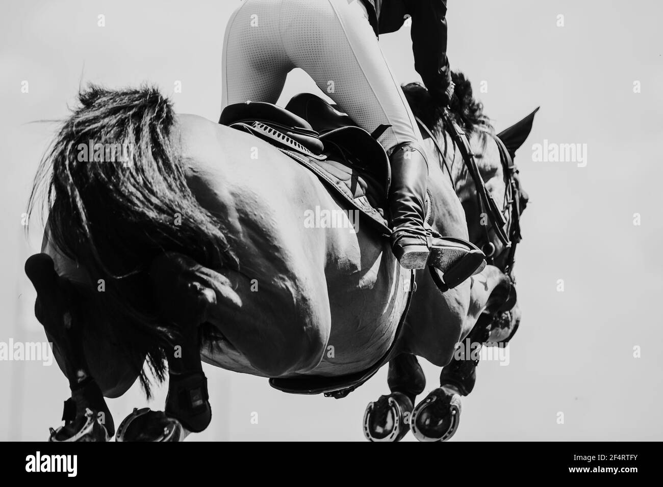 Springreiten, Pferdesport themed Foto. Stockfoto