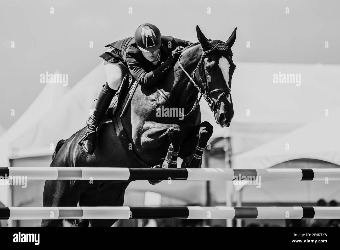 Springreiten, Pferdesport themed Foto. Stockfoto