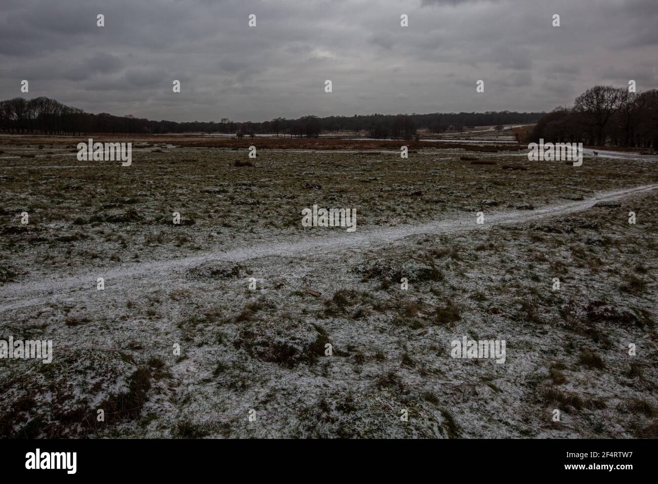 Eisige Temperaturen im Richmond Park, West London während eine Kaltfront durch das Vereinigte Königreich mit Schneeschauern und Frost fegt, England, Großbritannien Stockfoto