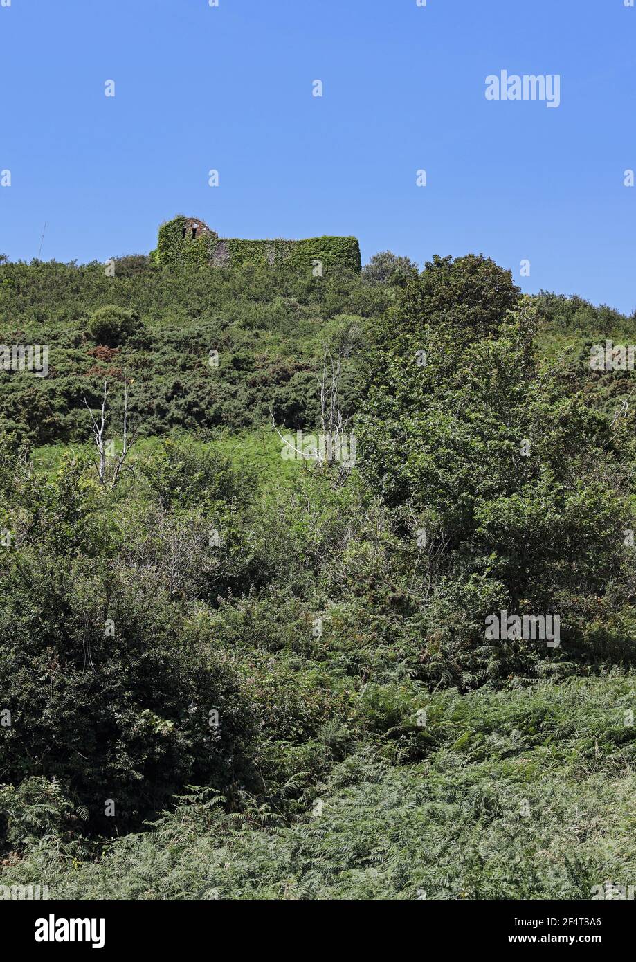 Grenville Battery über dem Minadew Bremsen in der Nähe von Maker Im Südosten Cornwall Stockfoto