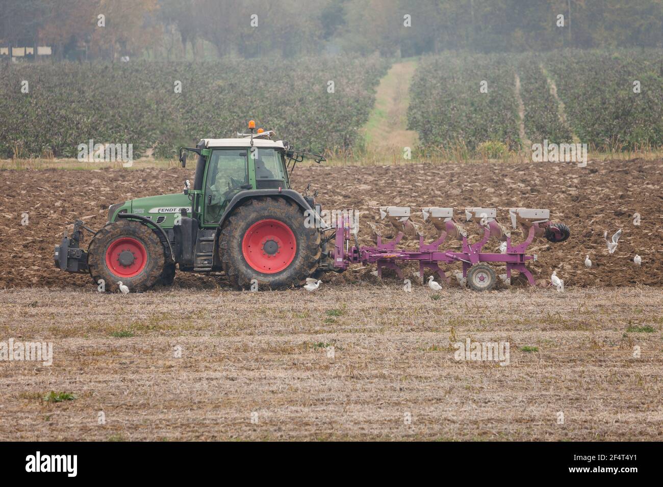 VENEZIA, ITALIEN - 14. NOVEMBER 2020: Ein Bauer mit seinem Traktor pflügt das Land am Ende der Herbstsaison, um es für die Frühjahrspflanzung vorzubereiten Stockfoto