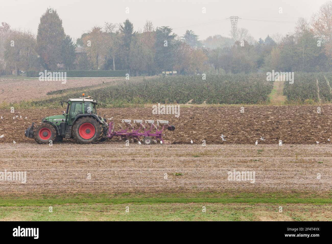 VENEZIA, ITALIEN - 14. NOVEMBER 2020: Ein Bauer mit seinem Traktor pflügt das Land am Ende der Herbstsaison, um es für die Frühjahrspflanzung vorzubereiten Stockfoto