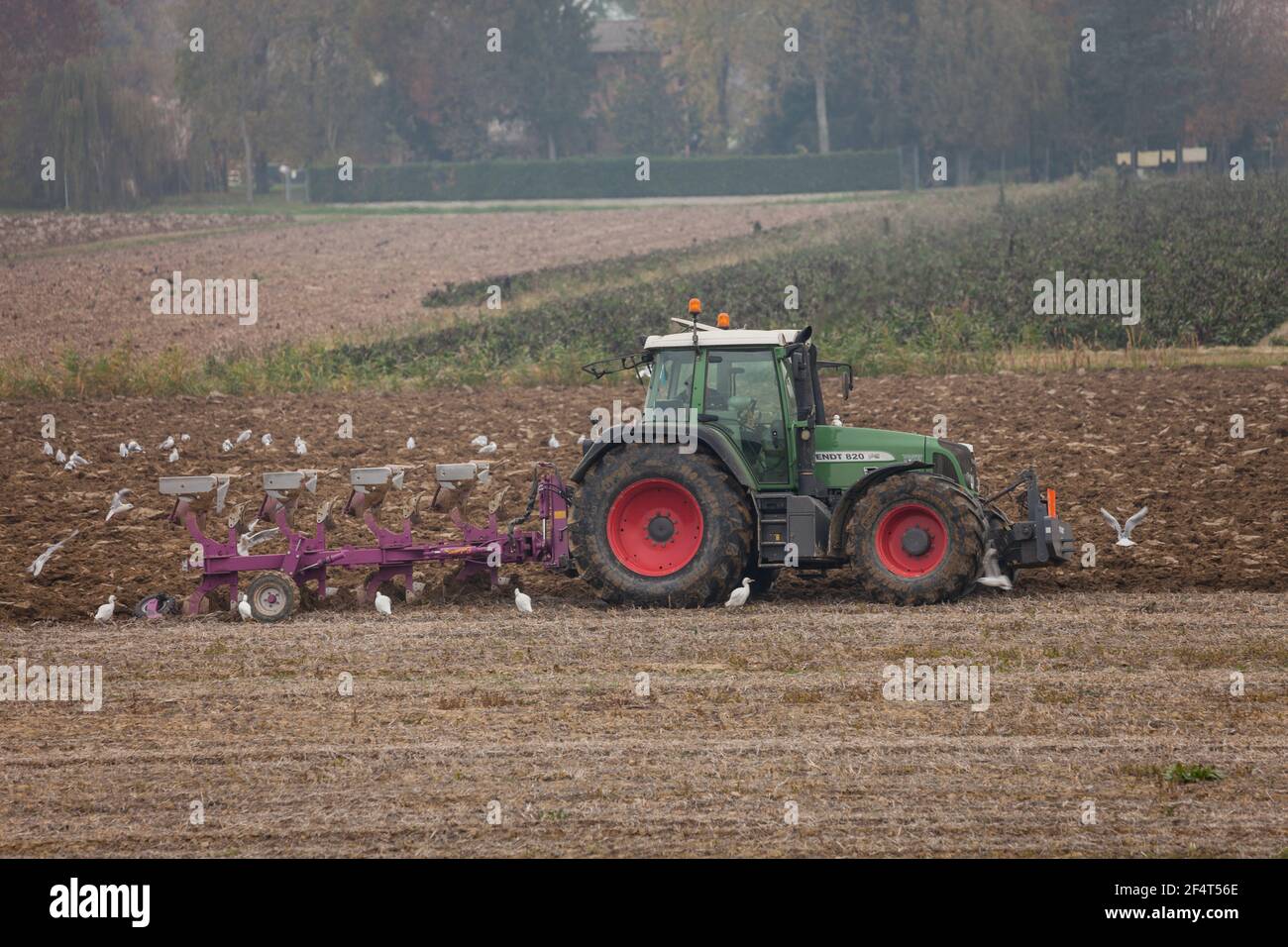 VENEZIA, ITALIEN - 14. NOVEMBER 2020: Ein Bauer mit seinem Traktor pflügt das Land am Ende der Herbstsaison, um es für die Frühjahrspflanzung vorzubereiten Stockfoto