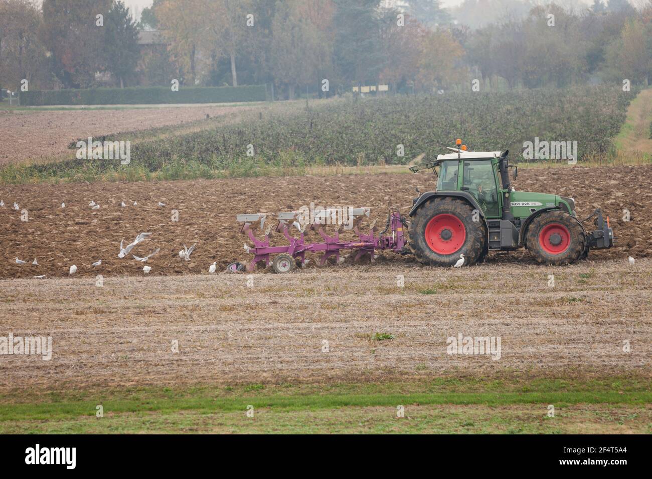 VENEZIA, ITALIEN - 14. NOVEMBER 2020: Ein Bauer mit seinem Traktor pflügt das Land am Ende der Herbstsaison, um es für die Frühjahrspflanzung vorzubereiten Stockfoto