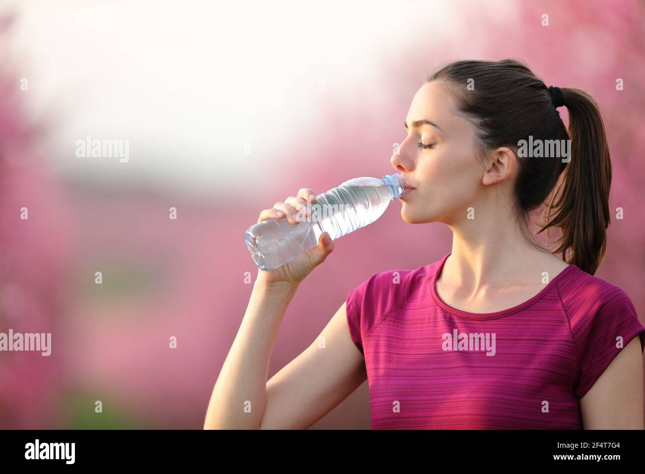 Läufer, der Trinkwasser aus einer Flasche nach dem Sport in Ruhe Ein rosa Feld Stockfoto