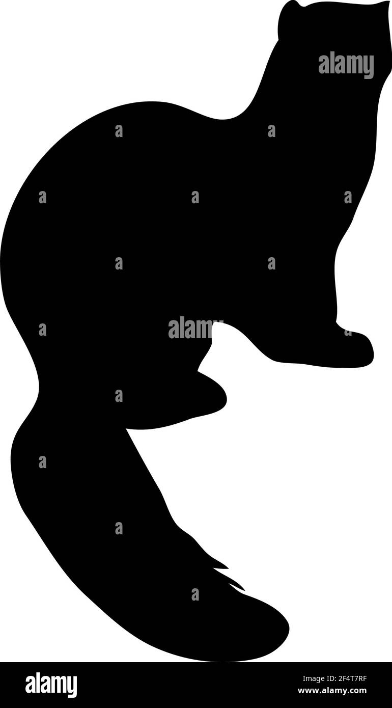 Kiefer Marder Silhouette. Glatte und saubere Linien. Hoch detailreiche Silhouette aus Kiefernmarder. Vektorgrafik. Stock Vektor