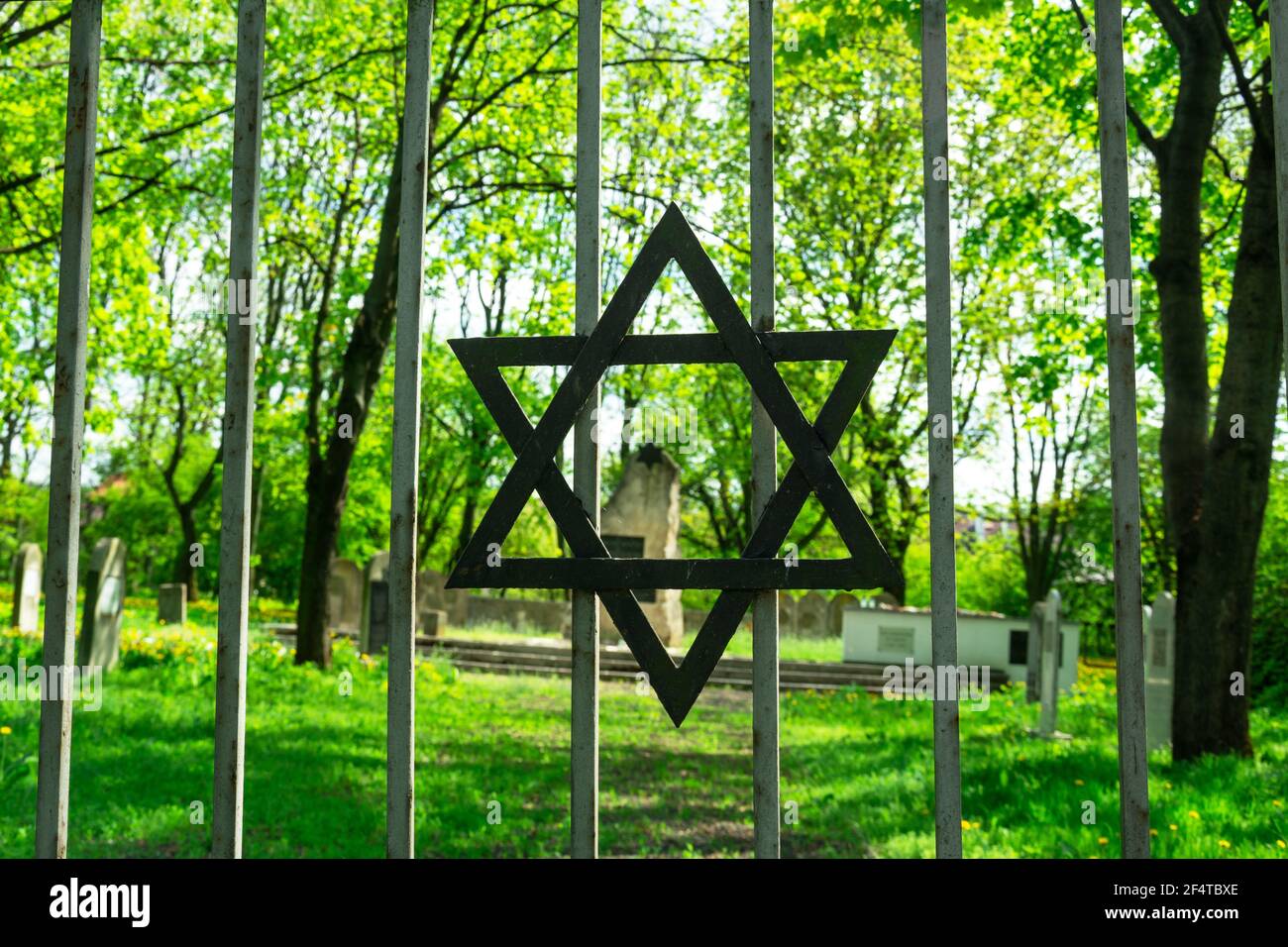 Chelm, Lubelskie, Polen - 01. Mai 2019: Davidstern am Tor des jüdischen Friedhofs in der Stadt Chelm Stockfoto