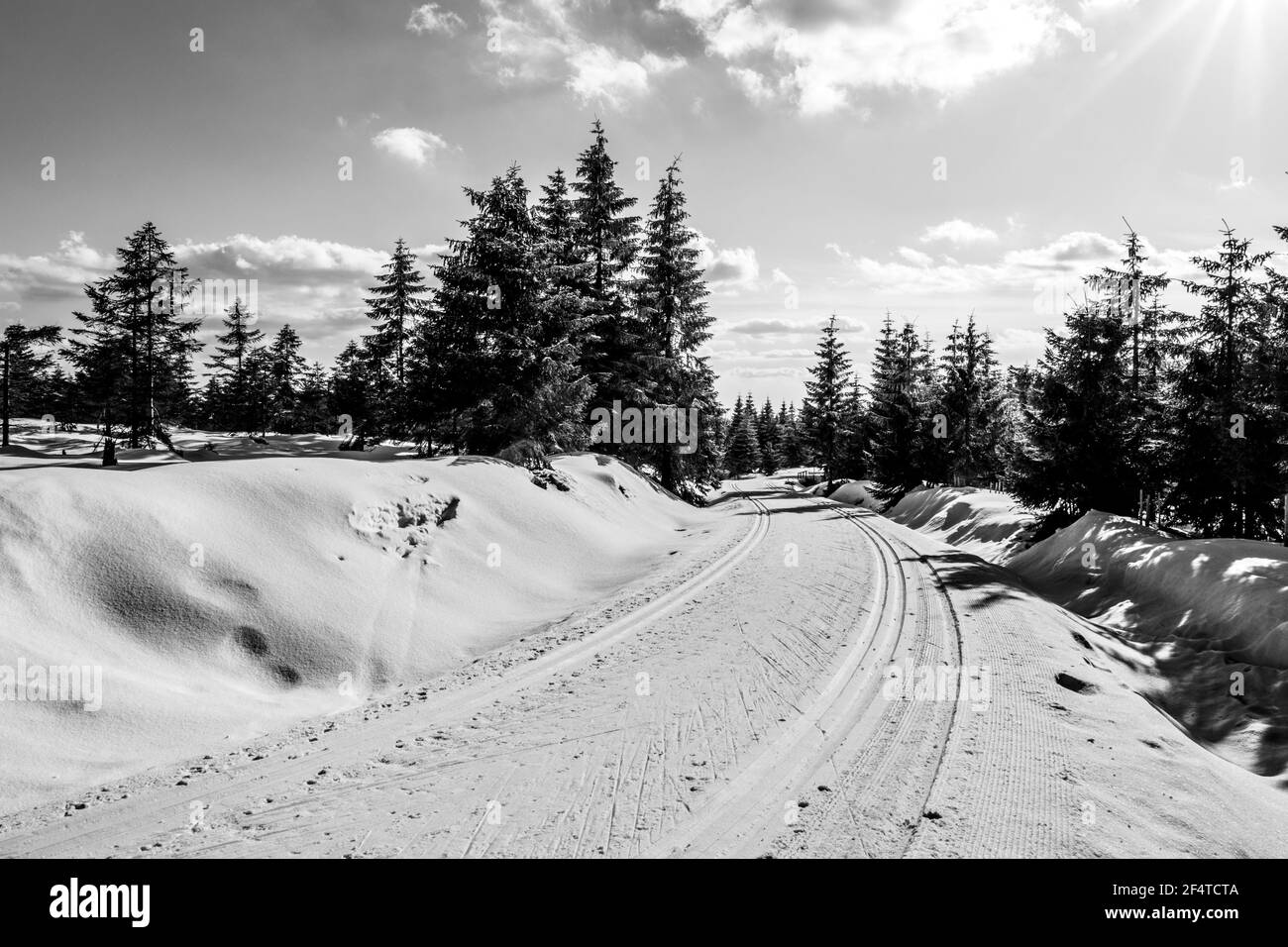 Langlaufloipe im Winter Stockfoto