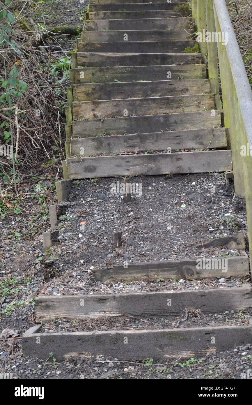 Steps and Pathway in A Country Park - Muddy and Schmutziger Treppenweg - Hölzerner Handsteg - Gehweg Nach Oben Und Down Hill - Missing Steps - Yorkshire UK Stockfoto