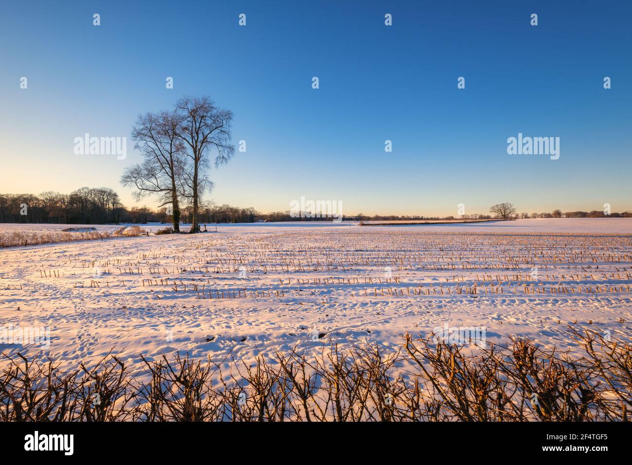 Niederländische Winterlandschaft in der Nähe des Dorfes Delden, im östlichen Teil der Niederlande. An einem kalten Februartag ist Schnee gefallen. Stockfoto