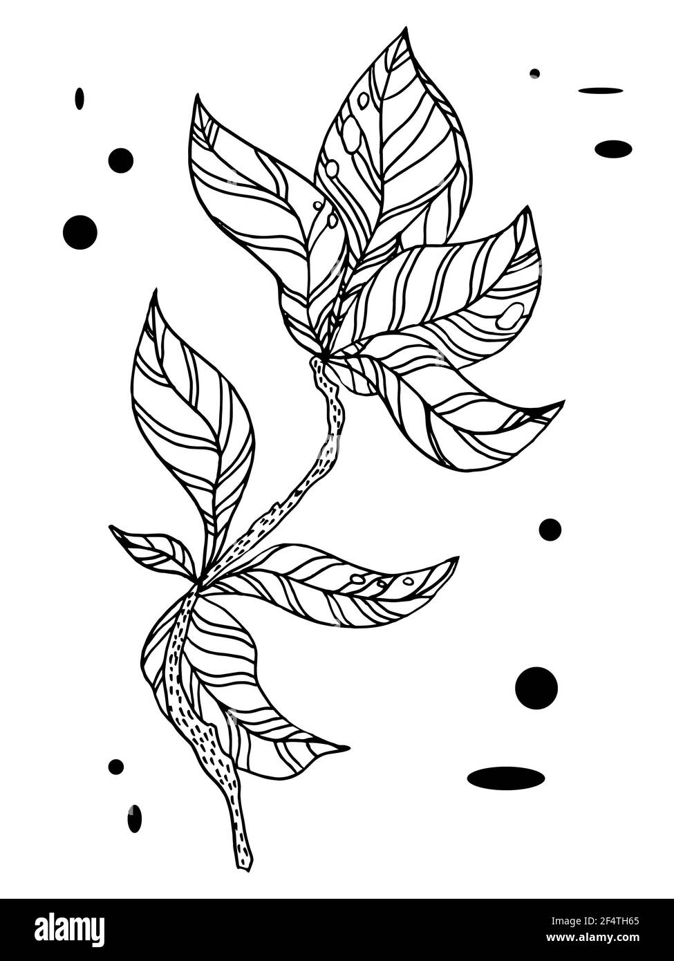 Zweig mit Blättern.Vektor-Handzeichnung Zweige mit Blättern und Streifen Stockfoto