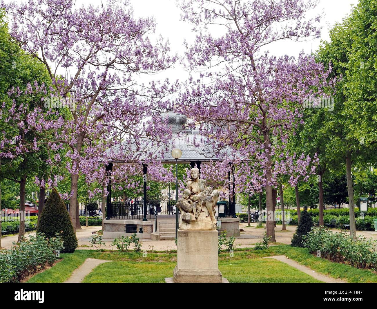 Frühling Glyzinie blüht in Square Adolphe Cherioux, 15th Arrondissement, Paris, Frankreich Stockfoto