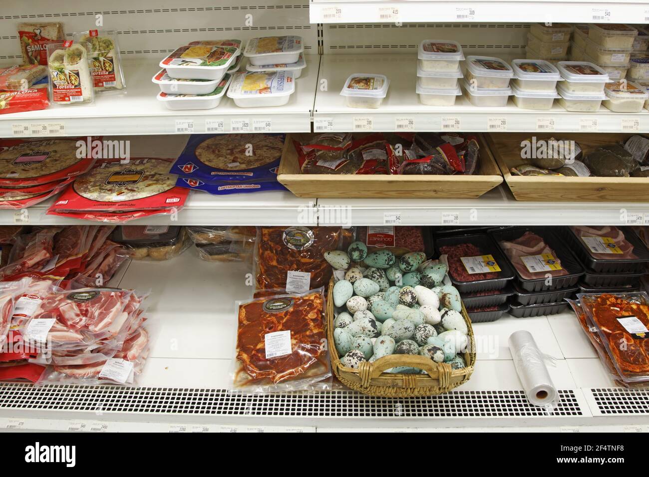 Gemeinsamen Guillemot - Eiern auf Verkauf im Supermarkt Uria Algen Island BI026432 Stockfoto