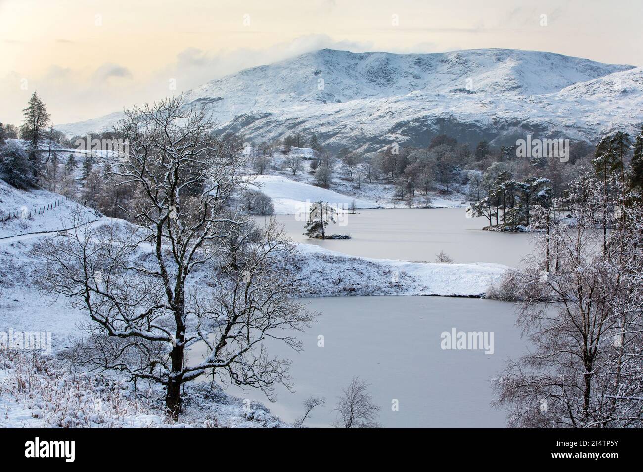 Miisty Bedingungen über Tarn Howes Blick in Richtung Coniston OD man, Lake District, Großbritannien. Stockfoto